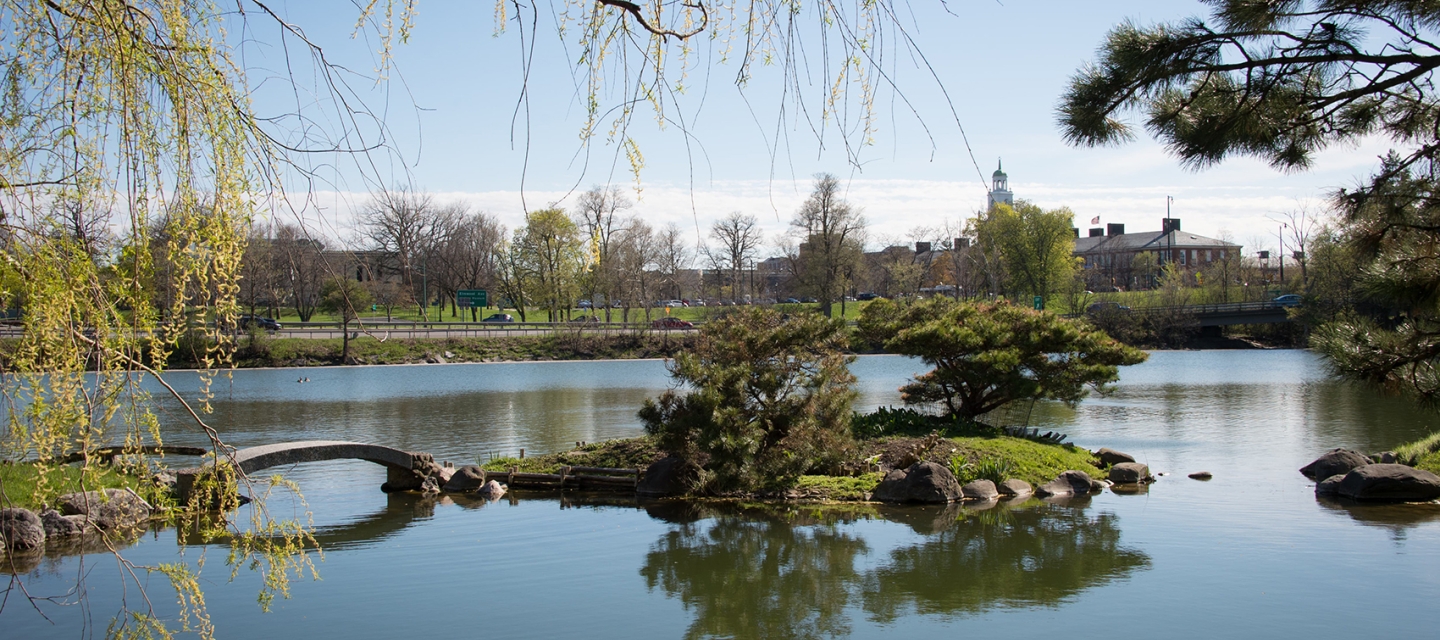 Japanese garden outside Buffalo History Museum near Buffalo State.